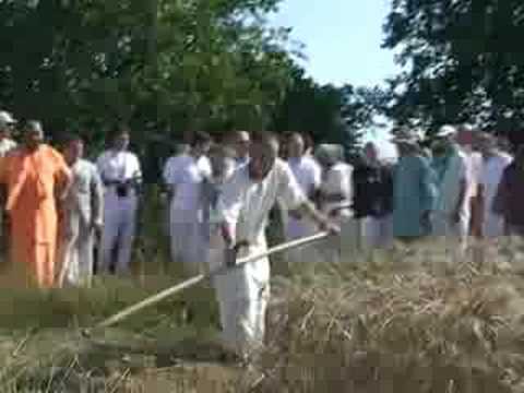 2008-07-03 NVD Harvest festival