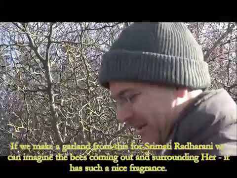 Radhe-Syama virágkertje télen – Radhe-Syama’s flower garden in winter time (Partha d)