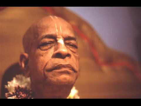 Prabhupada 0002 Őrültek világa