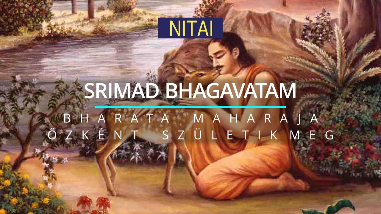 Bharata maharaja őzként születik meg