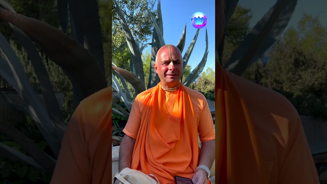 Befolyásolja e a szabad akaratot a karma? #shorts Bhaktipāda Gosvāmī