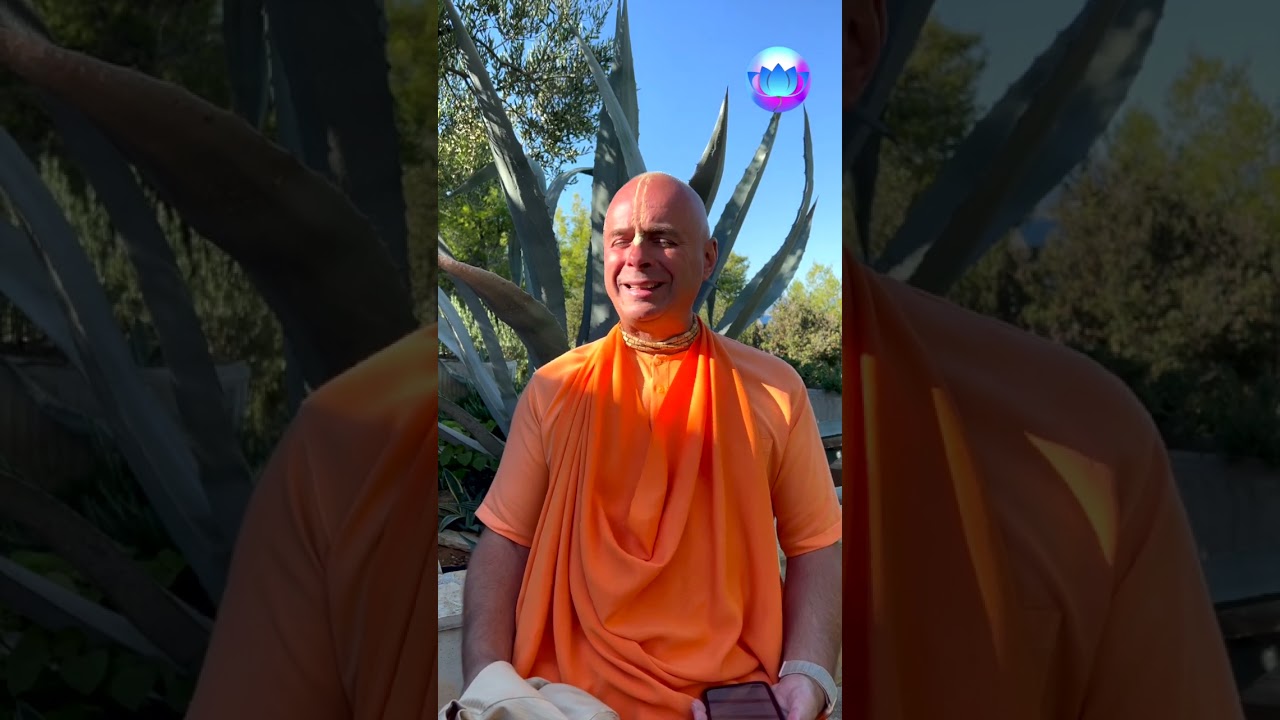 Mi a Hare Krishna mantra jelentése? #shorts Bhaktipāda Gosvāmī