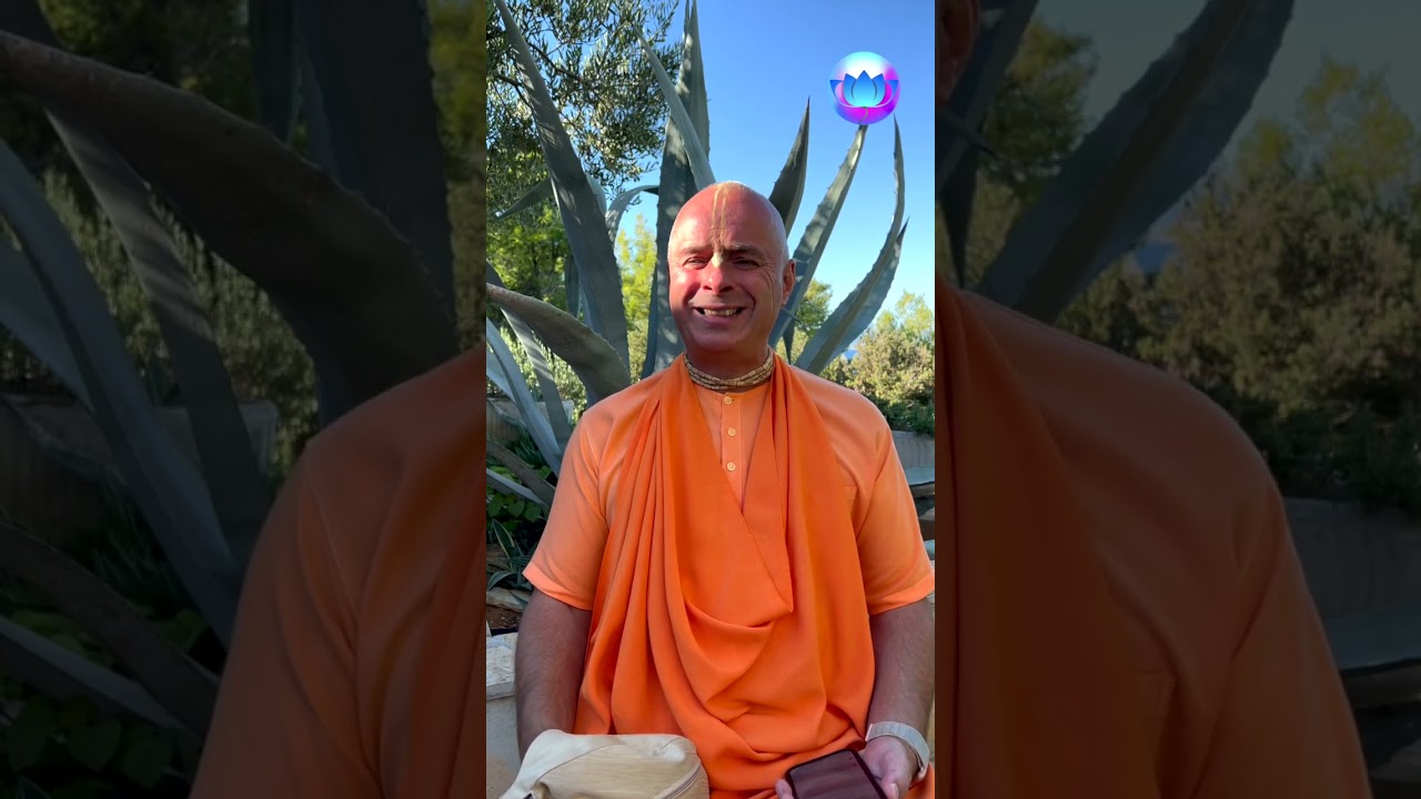 Baj e, ha elhunyt szerettünket elhamvasztjuk? #shorts Bhaktipāda Gosvāmī