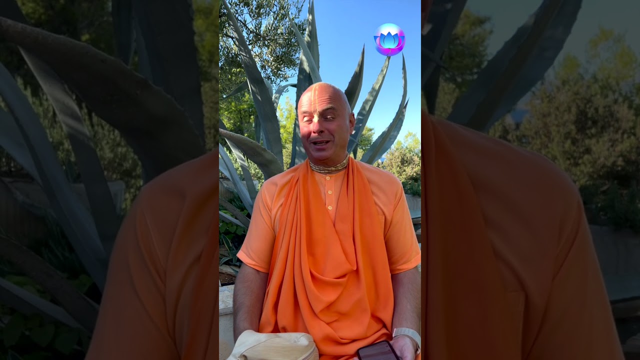 Mi a Krishna-tudat valójában? #shorts Bhaktipāda Gosvāmī