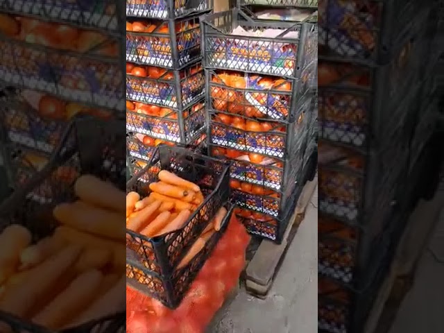 Újabb földrengések Törökországban, de az ételosztás nem áll meg!