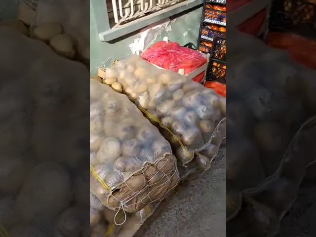 Újabb földrengések Törökországban, de az ételosztás nem áll meg!