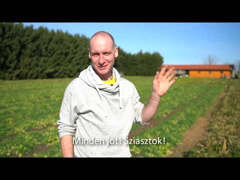 Krisna News: Kezdődik a kertészeti szezon – tanulj velünk Krisna kertészétől!