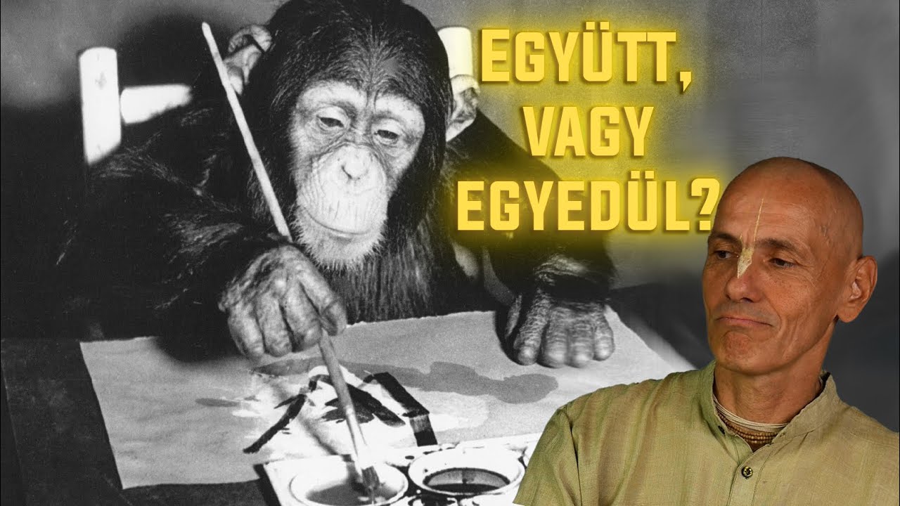 Jobb vagy, mint egy csimpánz?