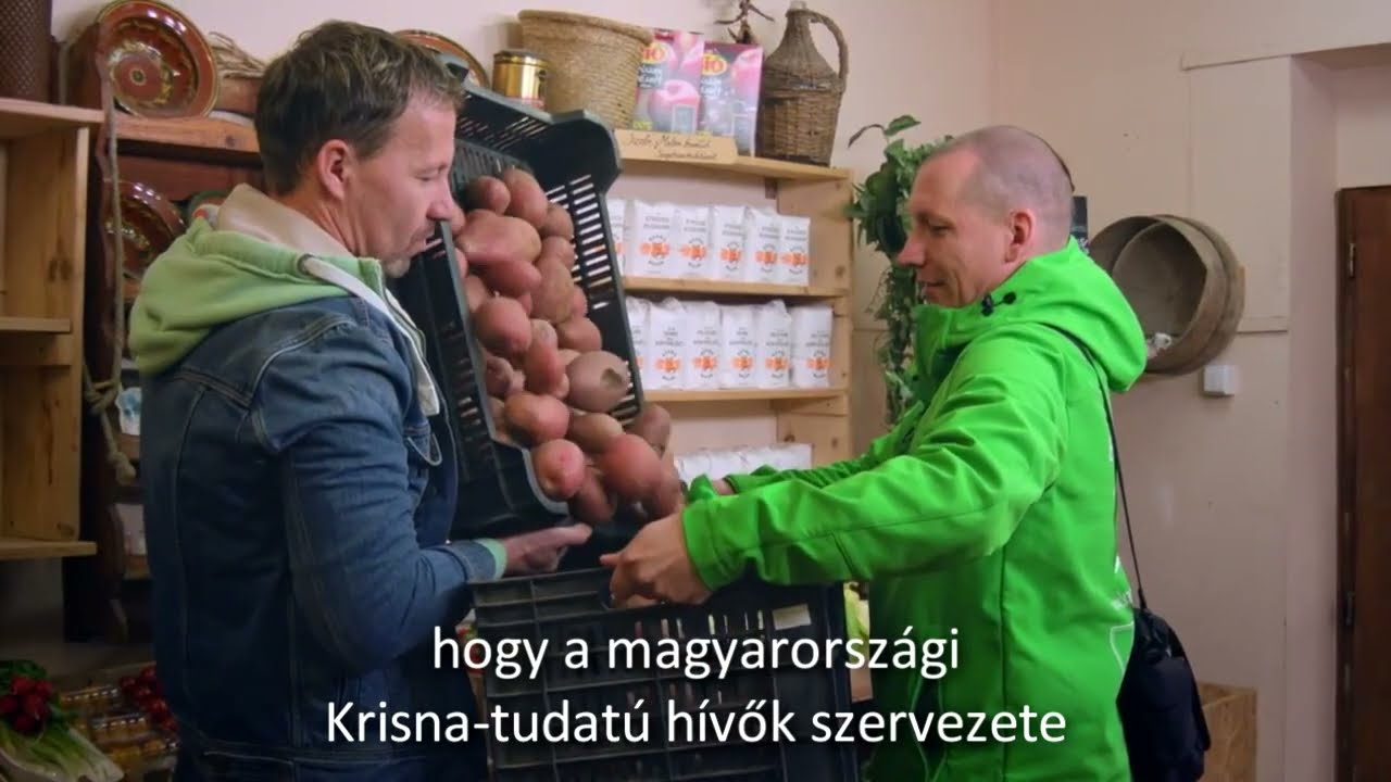 KrisnaNews: Te kinek ajánlod fel adód 2×1 százalékát? Tudatos választásaink súlya
