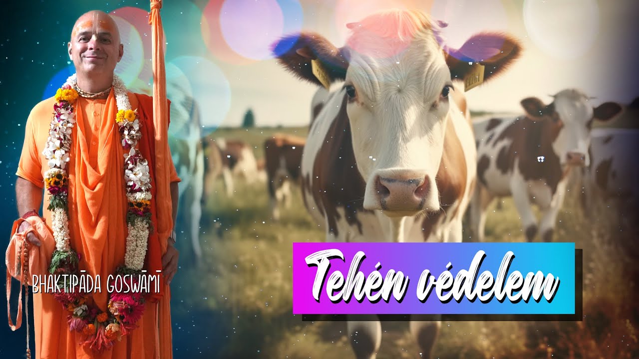 Tehénvédelem a Védikus irodalom tükrében: A Tejelő Állatok védelmezése. Bhaktipāda Gosvāmī
