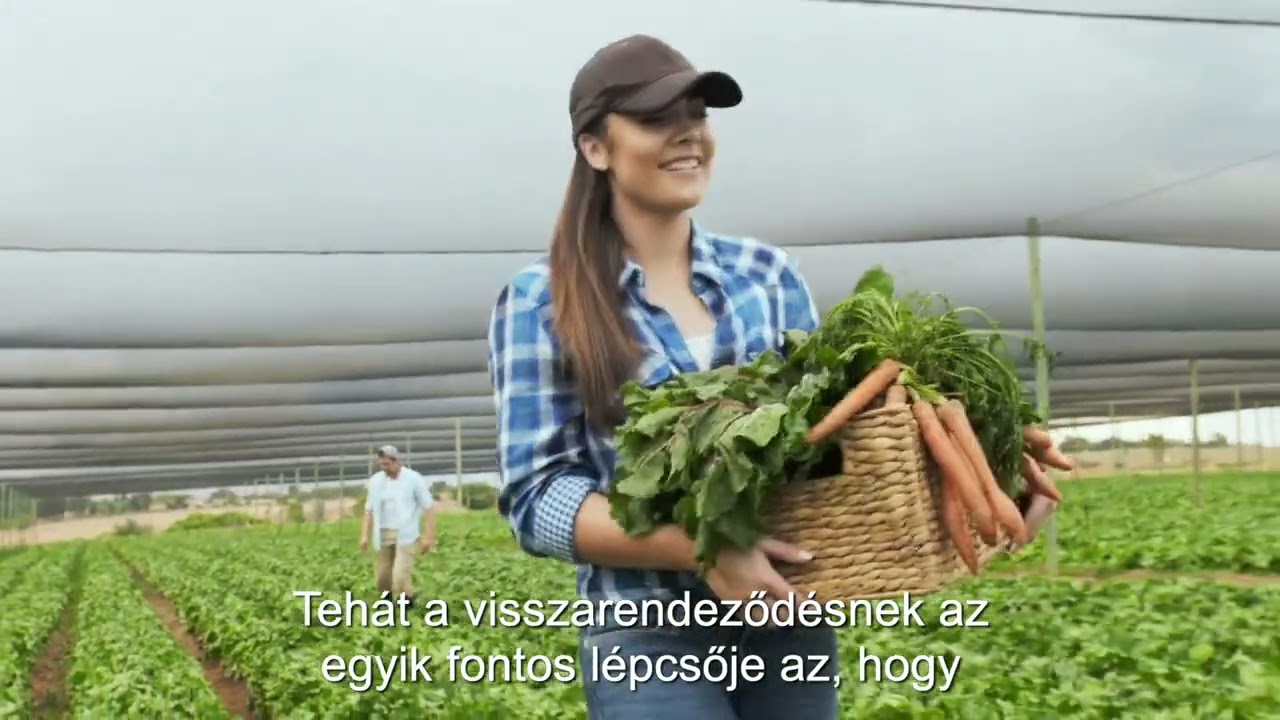 KrisnaNews: Vegetarianizmus új szemszögből