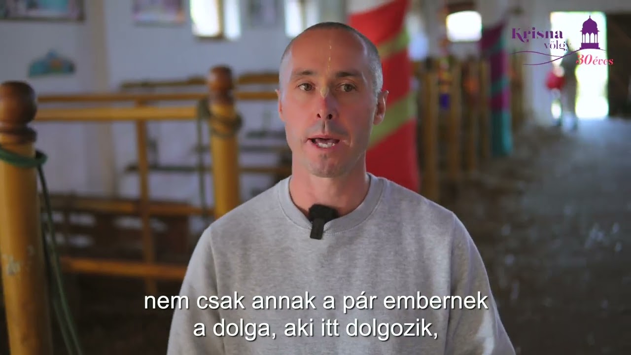 KrisnaNews: Így élnek a szent tehenek Krisna-völgyben