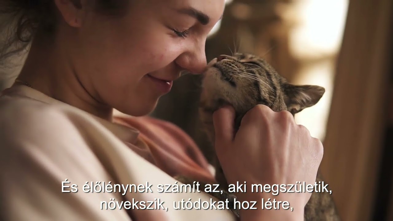 Krisna News: Miben változik az életed, ha krisnás leszel?