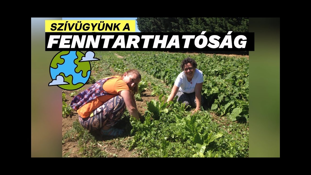 Főiskola zöld logóval 🌍🌳♻️