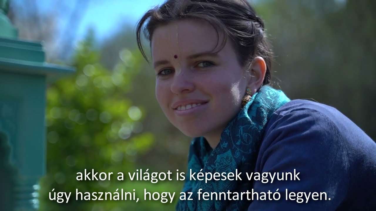 A fenntarthatóság illúziói