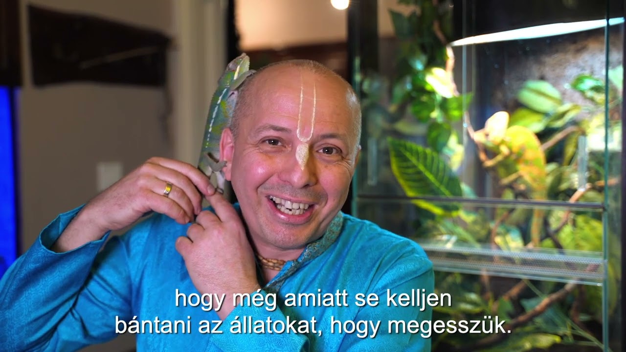 KrisnaNews: Te mi szeretnél lenni a következő életedben? A lélekvándorlás törvényei