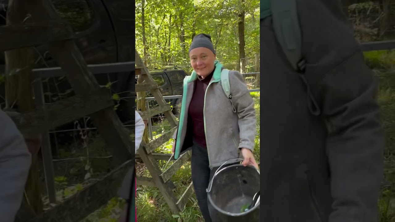 Hallgatókkal javítottunk kerítést vasárnap a Duna-Ipoly Nemzeti Parkban #jógafőiskolája