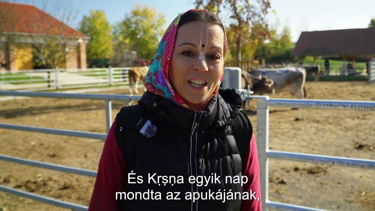 KrisnaNews: Az Édességfesztivál története