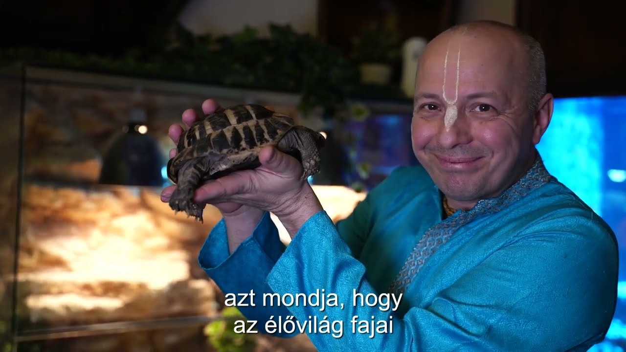 KrisnaNews: Lélek vagy csak egy majom?