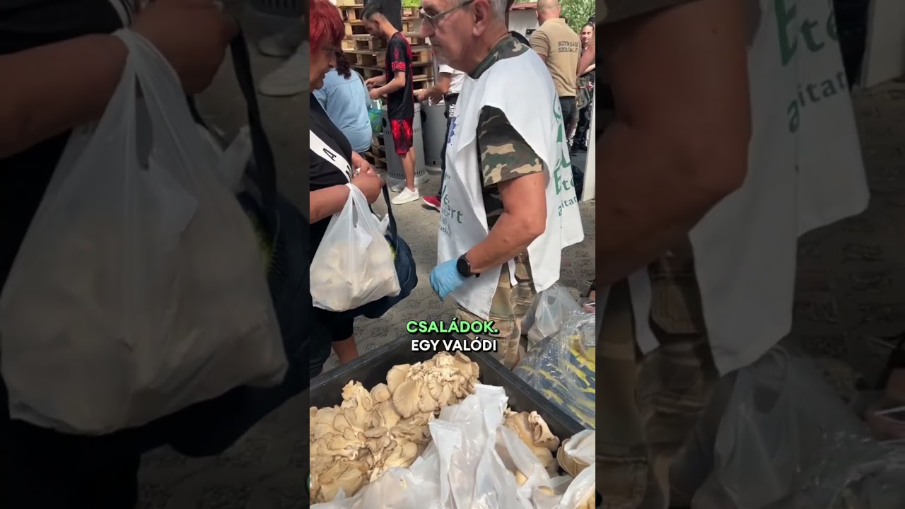 Anyák napi kedvesség Egerben