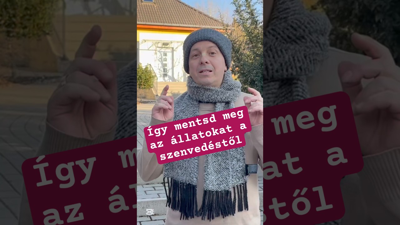 Így mentsd meg a szenvedéstől az állatokat. #jógafőiskolája #bhaktivedanta #környezetvédelem