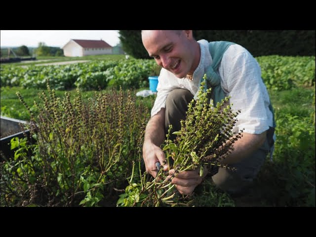 14th European farm conference @NavaVrajadhama