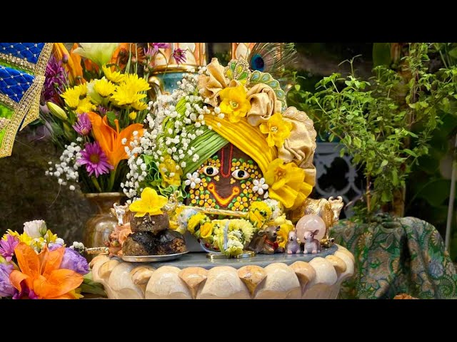 Govardhana-puja 2025 – Abhiseka