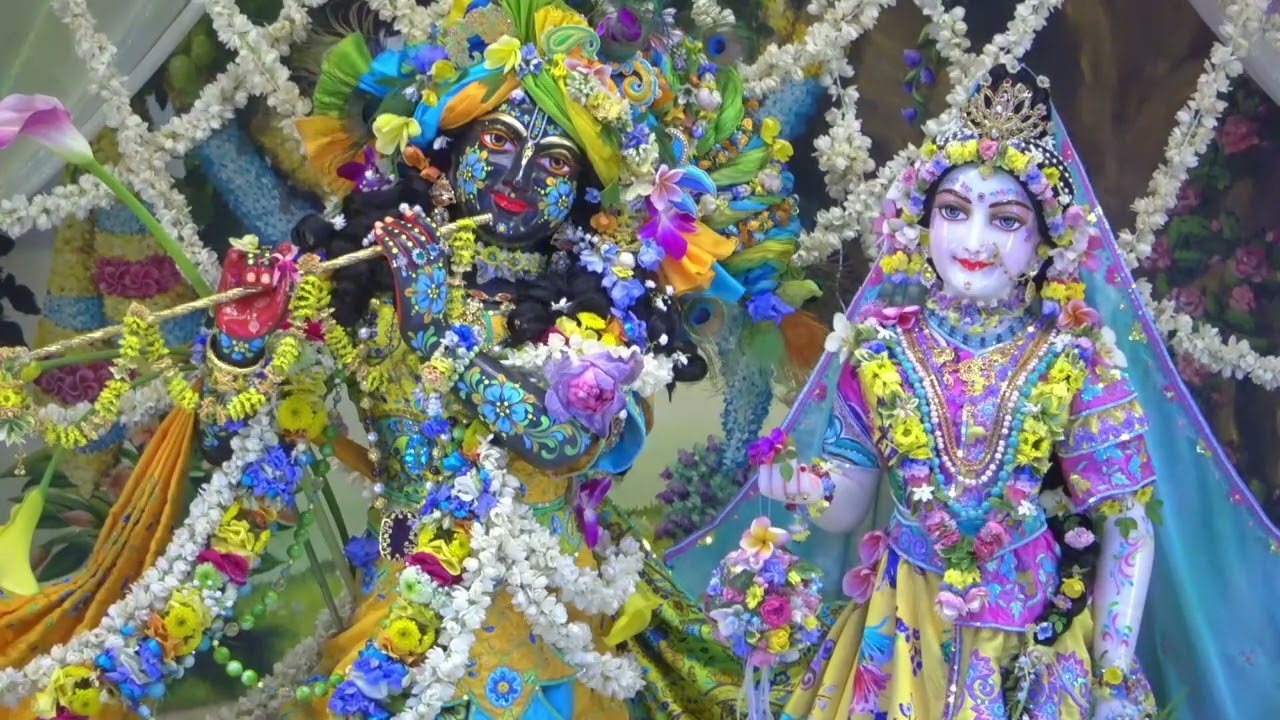 Sacisuta prabhu – evening kirtan on Sivarama Swami’s vyasa-puja – 2025