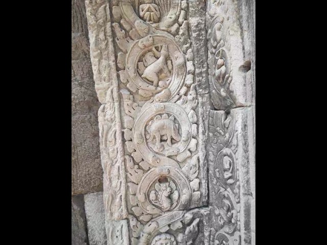 Dinoszaurusz a 12. századból