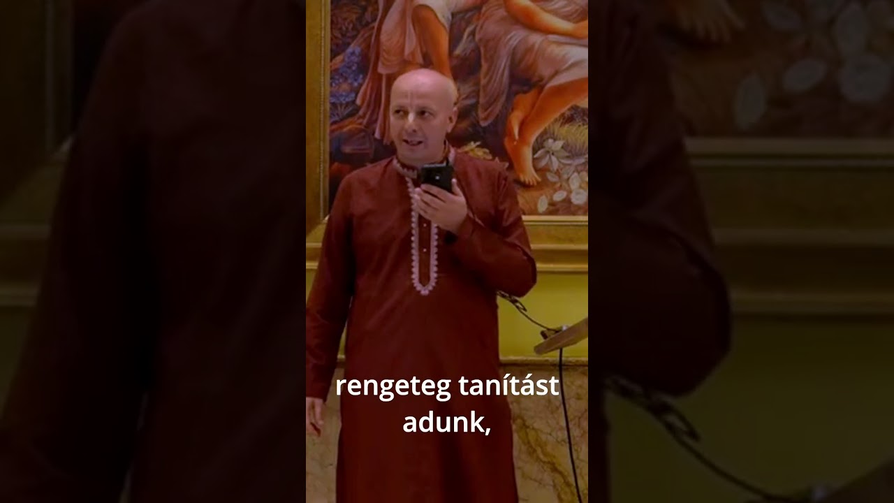 11 Hogyan lehet felismerni, hogy mi a valódi szabadság? Az MI kérdez, az ember válaszol.