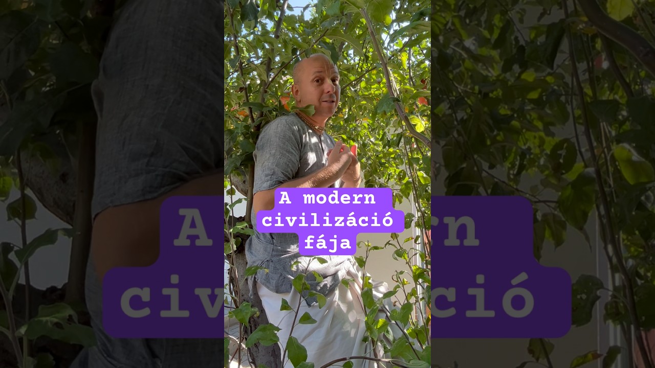 A modern civilizáció fáján ülünk, de vajon látjuk, hogy hol korhadnak az ágai? #jógafőiskolája