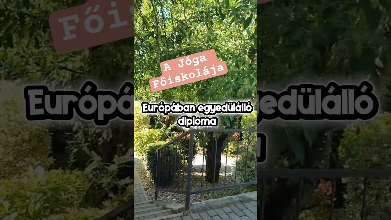 Ezen a héten minden a felvételizőkről szól a BHF-en! #jógafőiskolája #felvételi