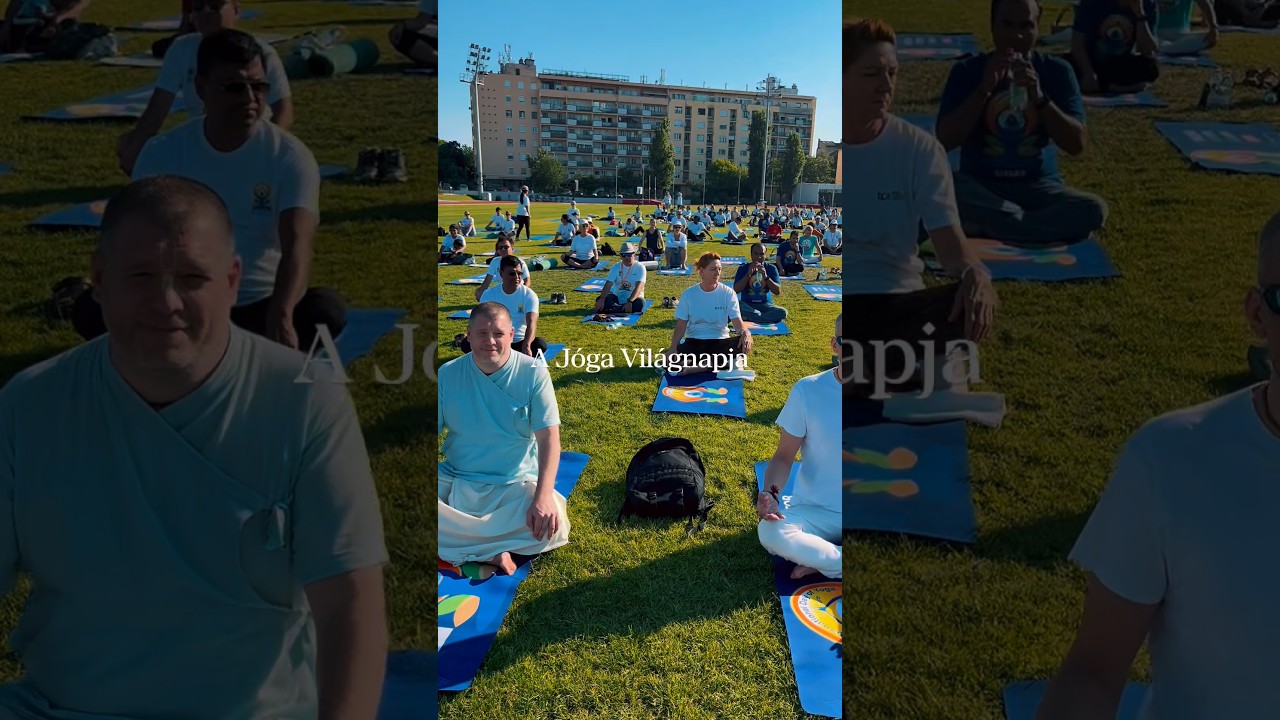 Június 21-én ünnepeljük a kedvenc világnapunkat. #jógafőiskolája #yogalife