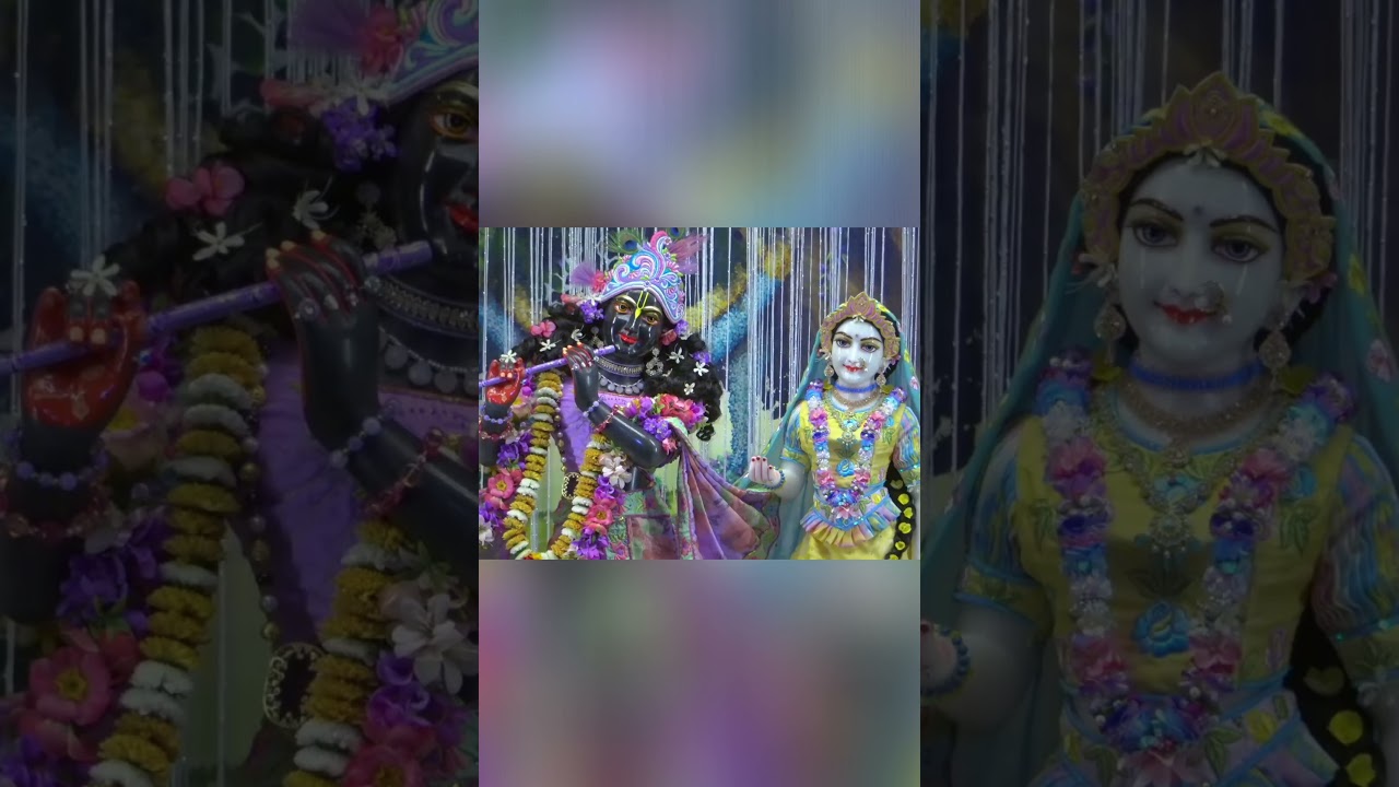 Jaya Radhe Jaya Syama