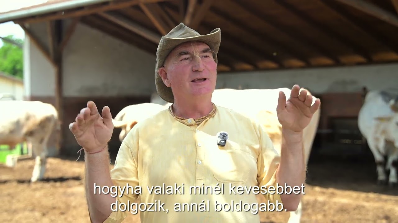 KrisnaNews: Egy fazék bölcsesség a tehenészetből