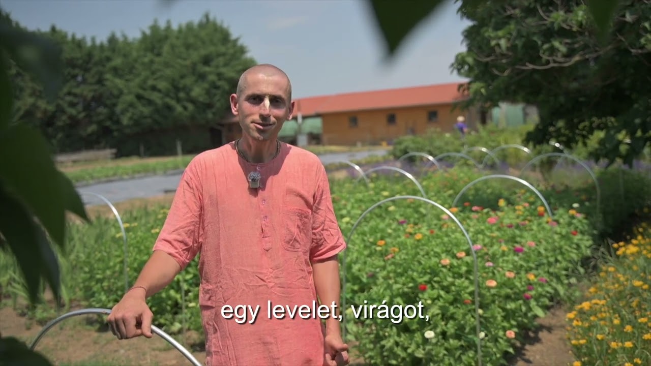 KrisnaNews: Krisna páratlan virágoskertje