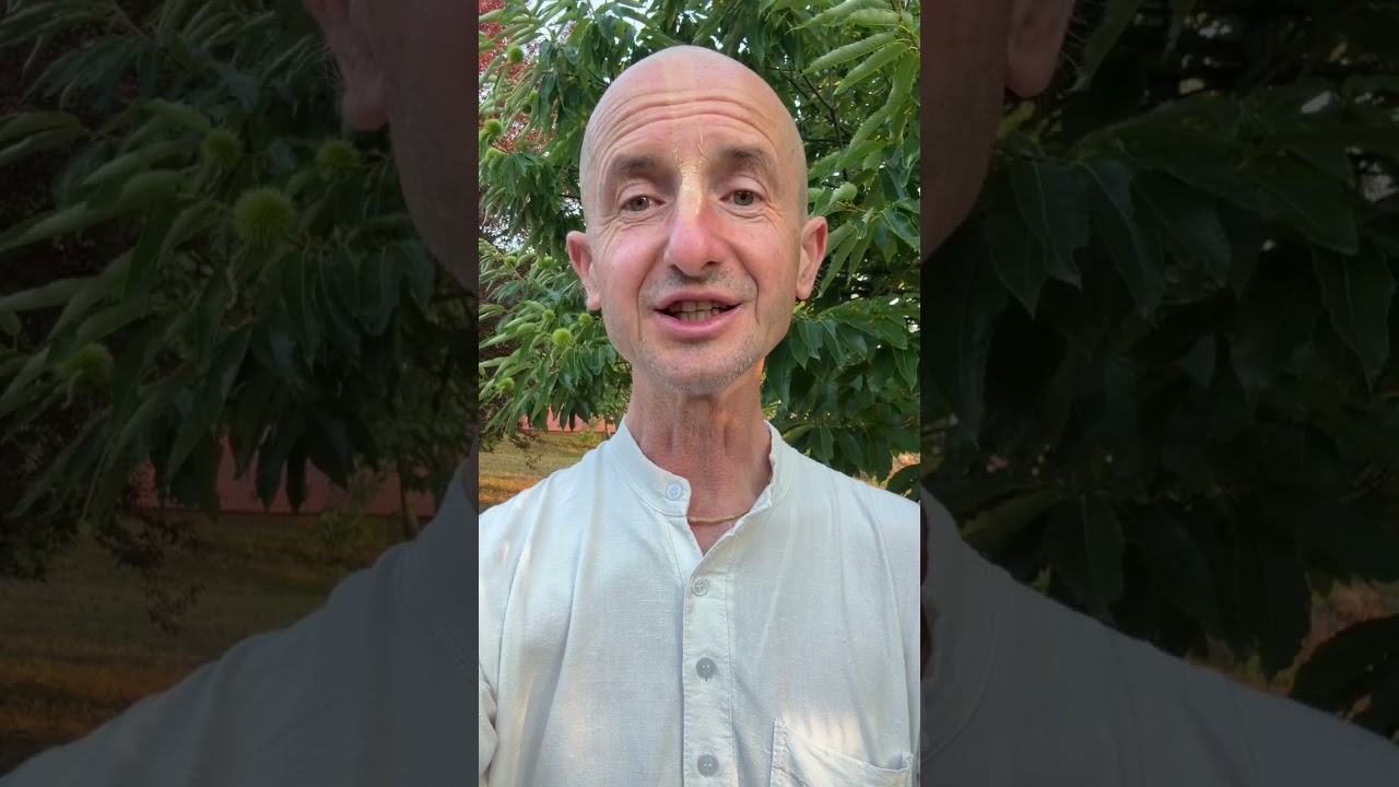 Találkozó a Krisna-völgyi Búcsúban – LilaSuka Dāsa