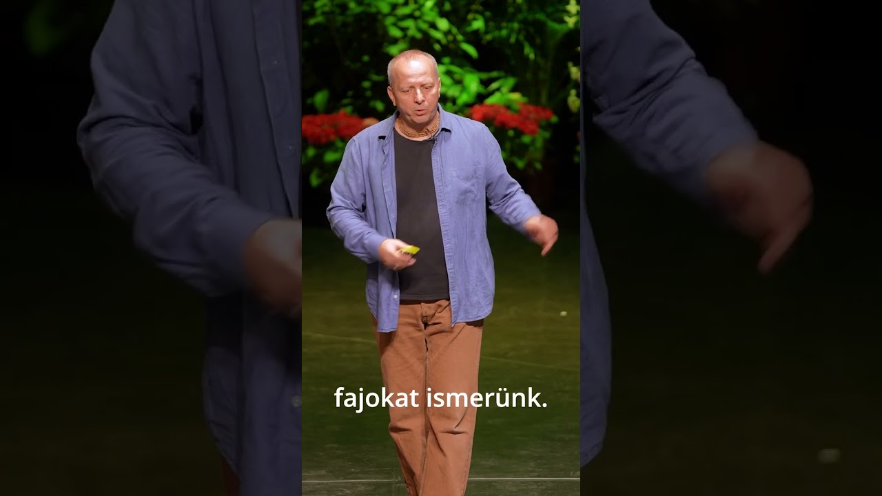 10. A kövületek és a komplexitás rejtélye