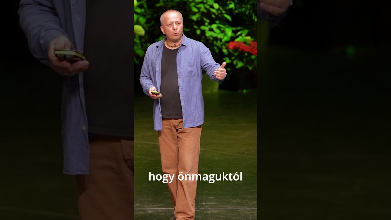 17. Ki az intelligens tervező?