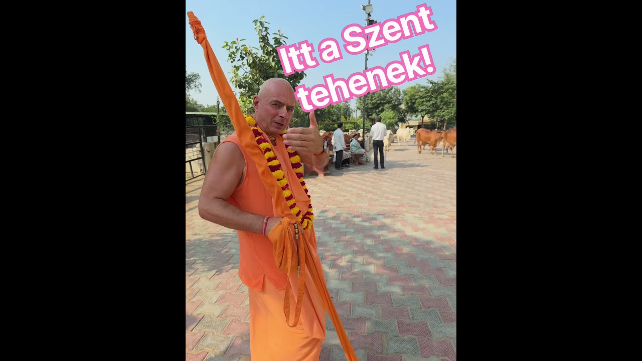 Itt a Szent tehenek! Bhaktipāda Gosvāmī ￼