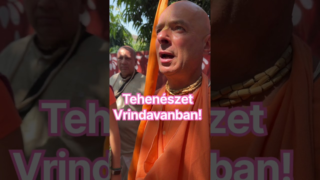 Nanda Maharaja tehenészete. ￼Bhaktipāda Gosvāmī